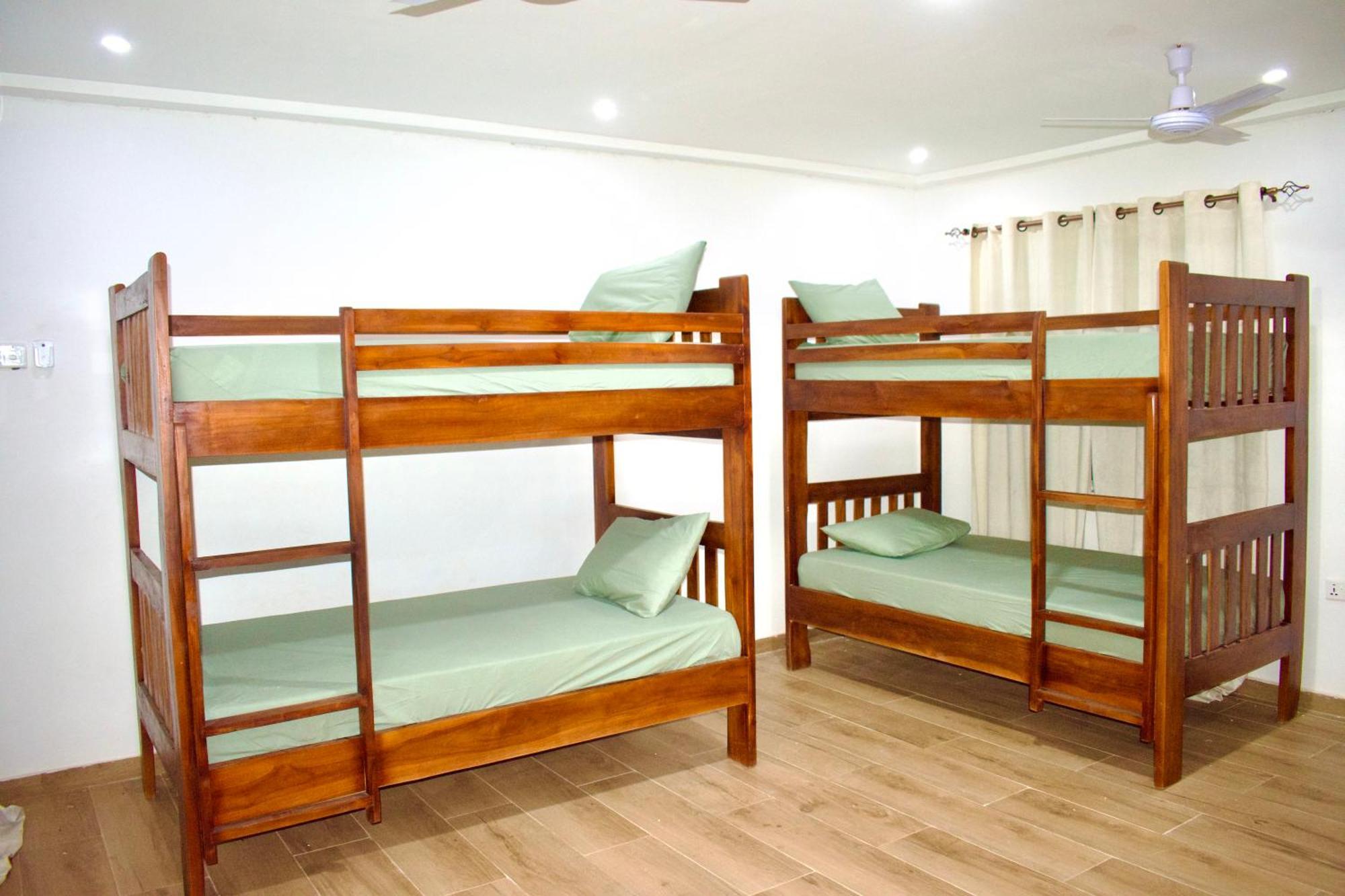 Tree House Hostel تامالي المظهر الخارجي الصورة