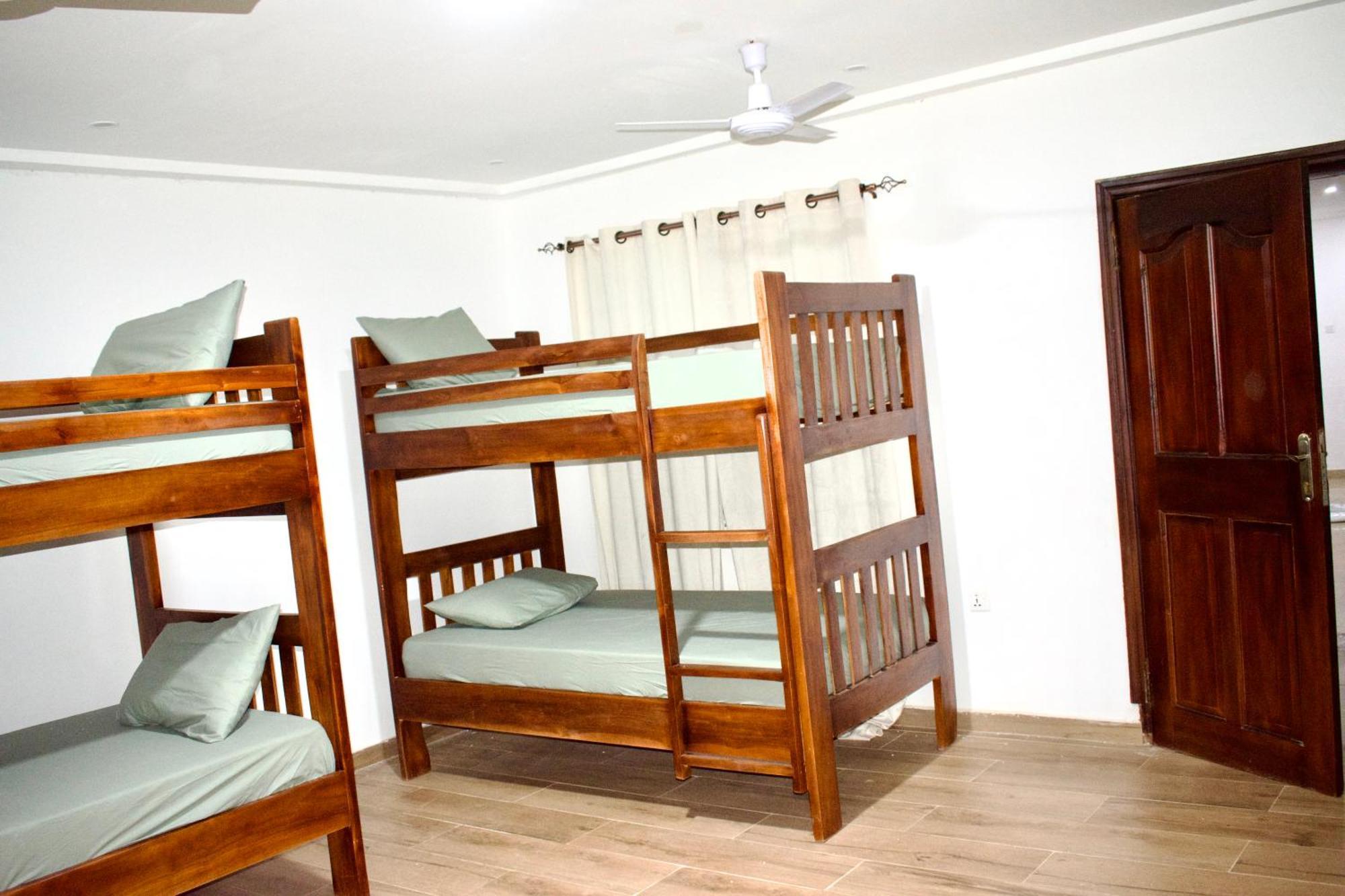 Tree House Hostel تامالي المظهر الخارجي الصورة
